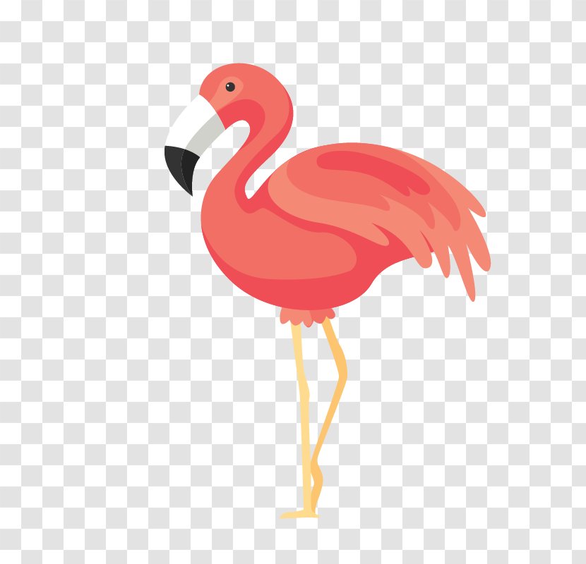 Bird Flamingos Euclidean Vector - Pink Transparent PNG