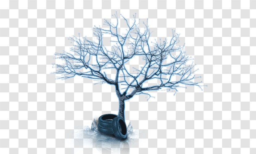 Desktop Wallpaper Computer Winter - Branch - Design Transparent PNG