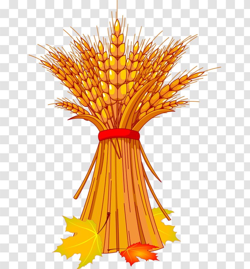 Harvest Festival Autumn Clip Art - Plant - Wheat Fealds Transparent PNG