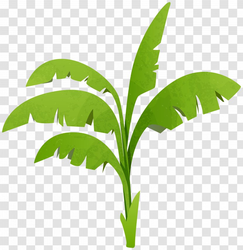 Plant Tree Clip Art - Diagram - Vera Vector Transparent PNG
