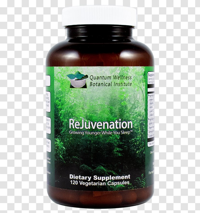 Dietary Supplement Rejuvenation Life Extension Ageing Health - Garcinia Cambogia Transparent PNG
