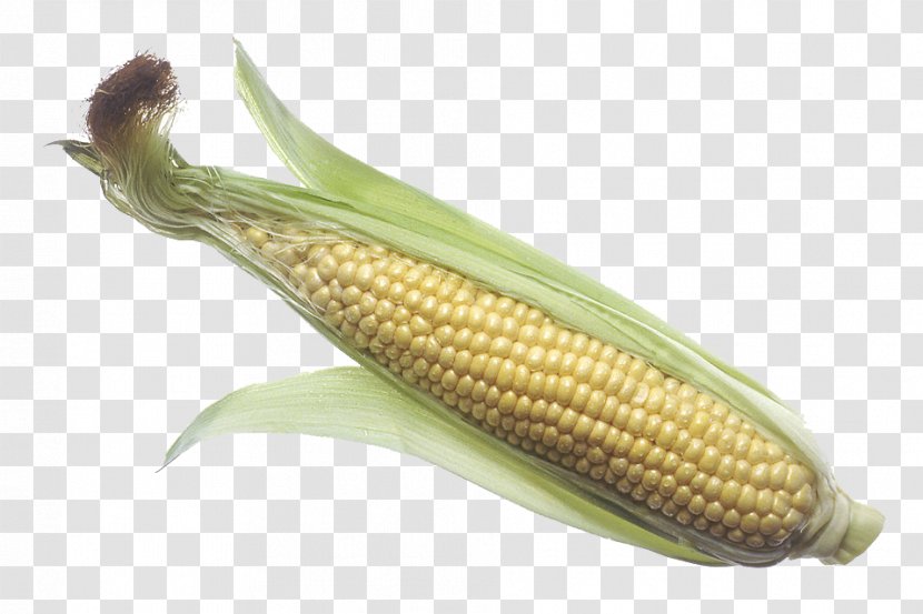 Corn On The Cob Maize Sweet Corncob Clip Art - Commodity - (Maize) Transparent Images Transparent PNG