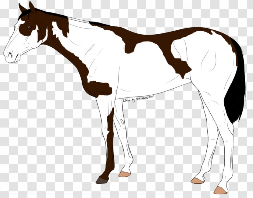 Mule Foal Stallion Mustang Mare - Saddle Transparent PNG