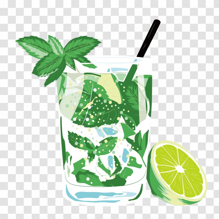 Mojito Juice Lemonade Drink Poster - Vector Transparent PNG