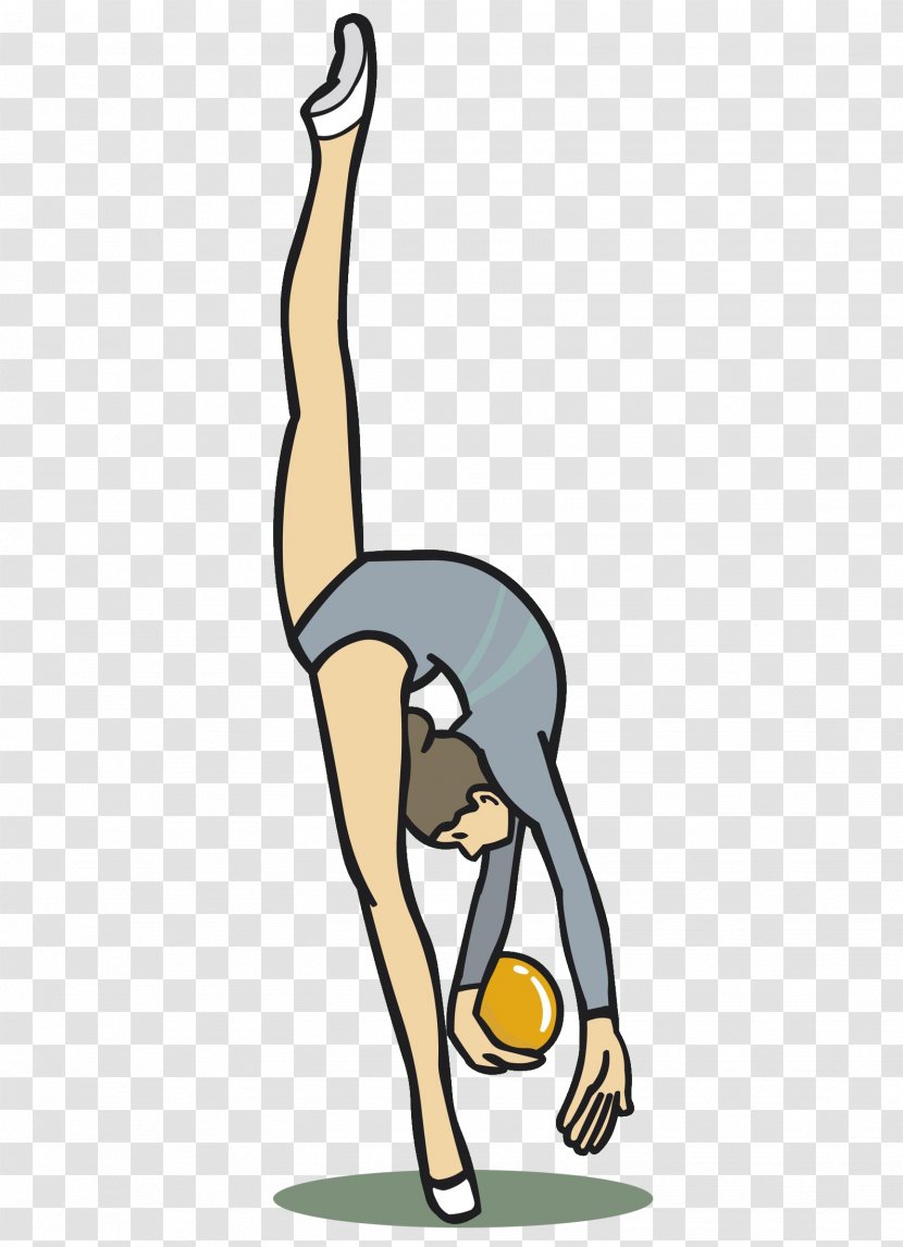 Jumping Gymnastics Rhythmic Artistic - Vertebrate Transparent PNG