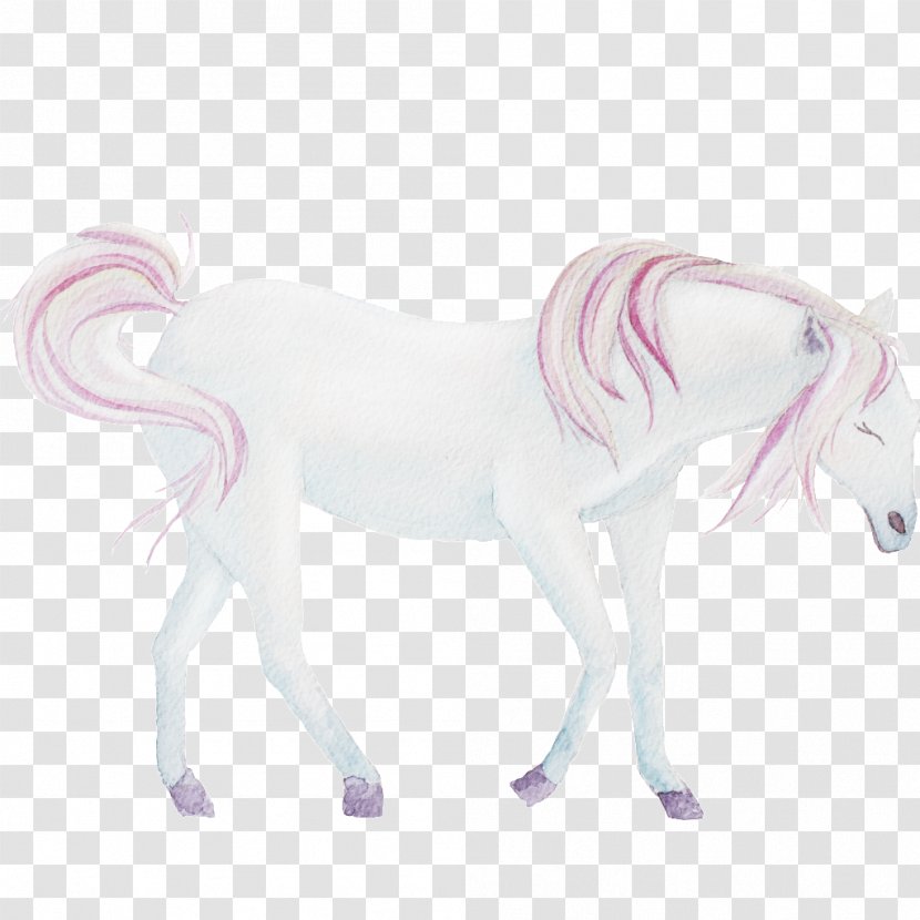 Horse White Download Google Images - Mythical Creature - A Transparent PNG