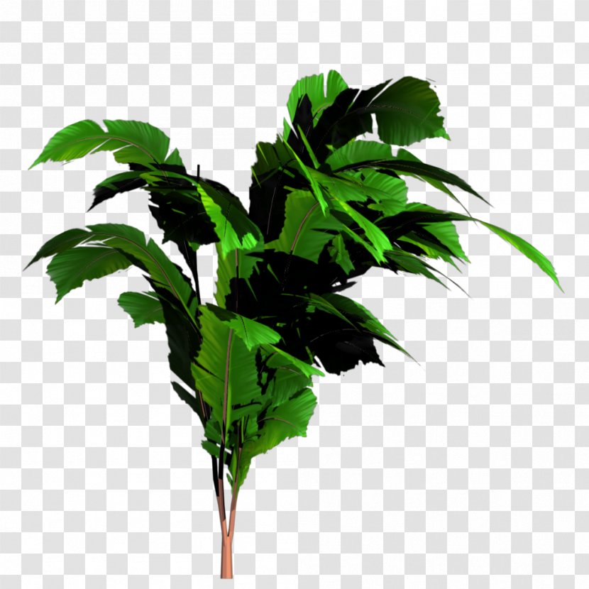 Banana Tree - Leaf - Jungle Transparent Image Transparent PNG