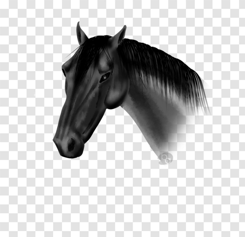 Mustang Halter Stallion Bridle Rein - Poltergeist Pennant Transparent PNG