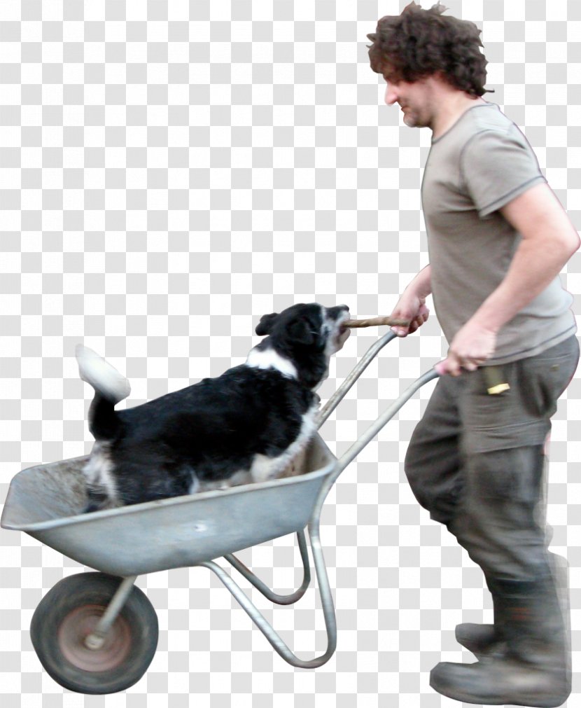 Dog Breed Art Painting - Cart - Shopping Dogs Transparent PNG