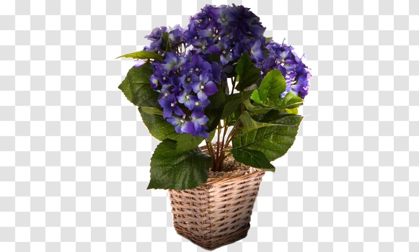 Blue Hydrangea Sweet Violet Flower - Lilac - Brush Pot Transparent PNG