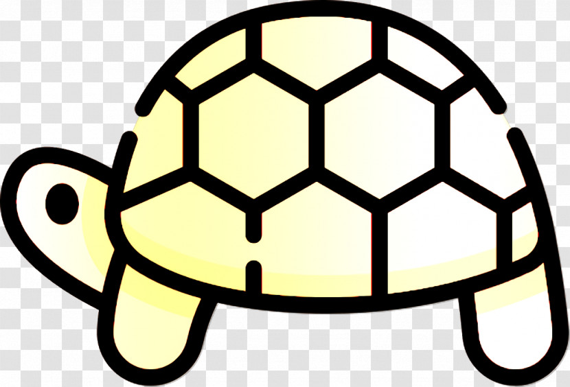 Turtle Icon Animal Icon Animals Icon Transparent PNG