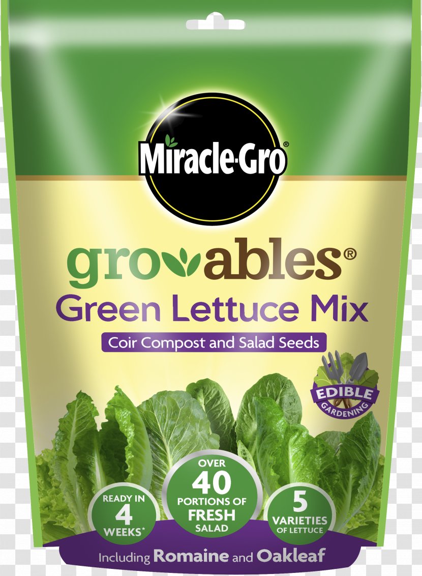 Romaine Lettuce Miracle-Gro Salad Herb - Green Transparent PNG