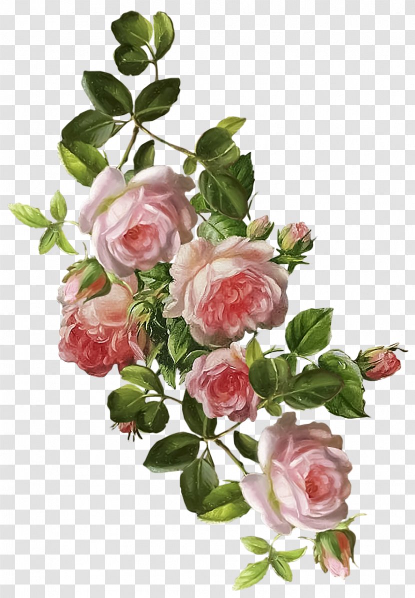 Floral Design Watercolor Painting Flower Decoupage - Rose Order Transparent PNG