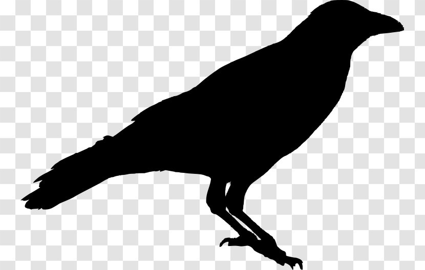American Crow Silhouette Raven Stencil Transparent PNG