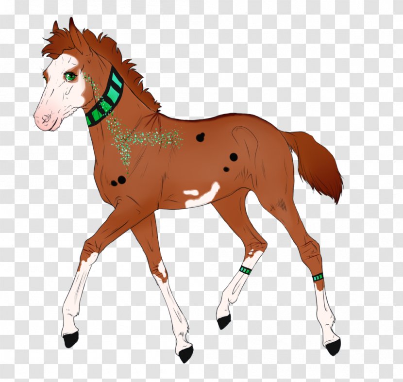 Mustang Mare Stallion Foal Pony - Bridle Transparent PNG