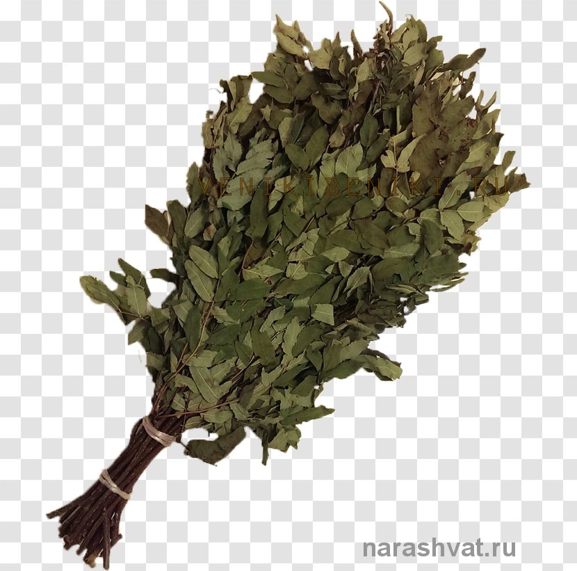 Tieguanyin Military Camouflage M Leaf Transparent PNG