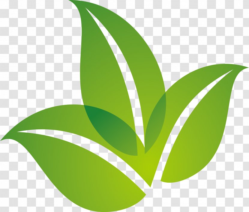Leaf Logo - Plant - Spring Green Design Transparent PNG