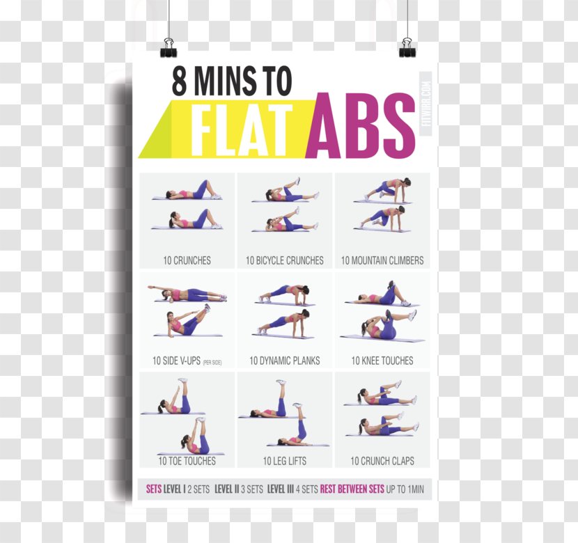 Abdominal Exercise Core Bodyweight Rectus Abdominis Muscle - Weight Loss - Nuts Posters Transparent PNG