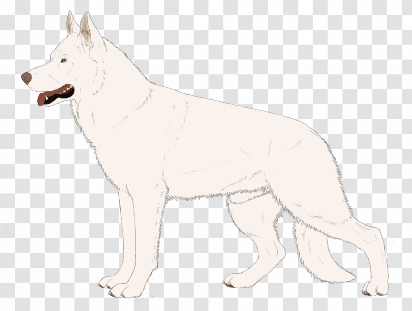 Czechoslovakian Wolfdog Saarloos White Shepherd Berger Blanc Suisse Canaan Dog - Czechoslovakia - Just Sold Transparent PNG
