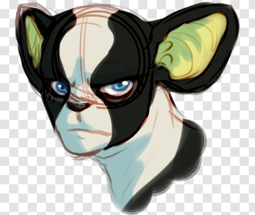 Cat Dog Glasses Snout Canidae Transparent PNG