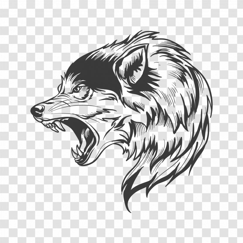 Wolf Stock Photography Illustration Graphics Drawing Transparent PNG