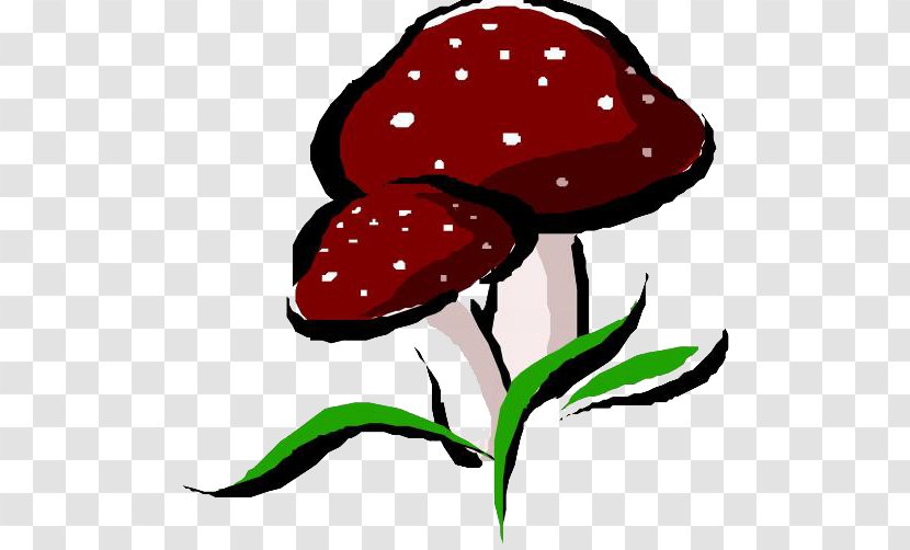 Mushroom Fungus Shiitake - Vegetable - Hand-painted Cartoon Mushrooms Transparent PNG