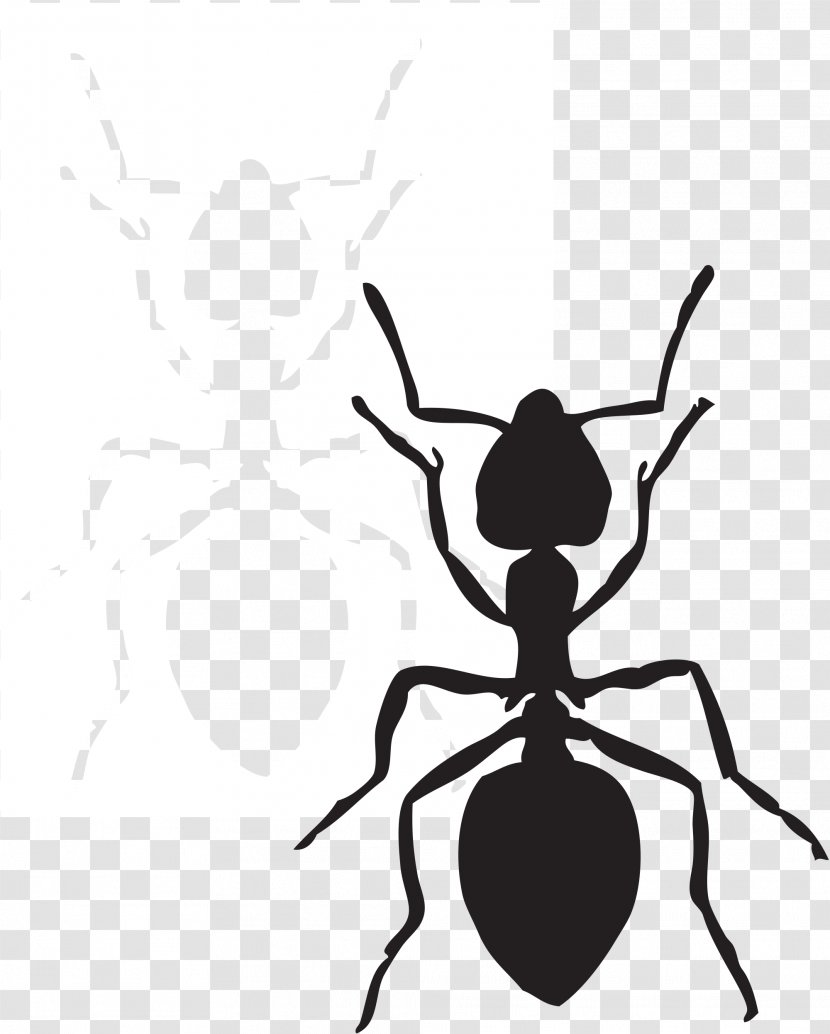 Ant Free Content Website Clip Art - Preschool Cliparts Transparent PNG