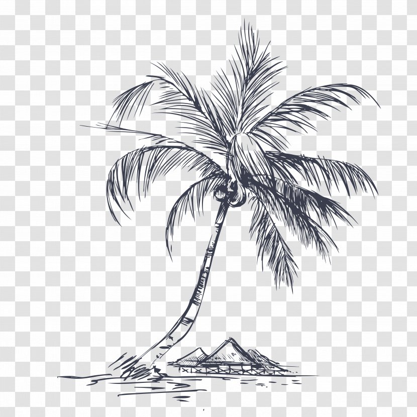 Coconut Tree - Flowering Plant - Hand-painted Island Tour Transparent PNG