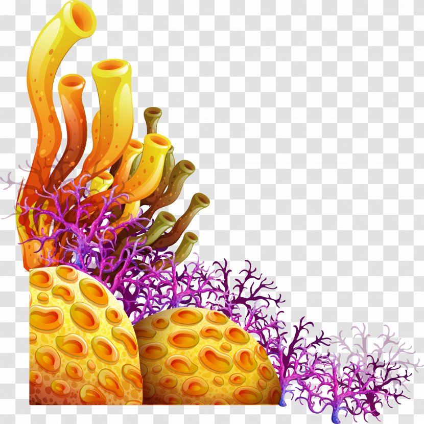 Living Corals Vector Graphics Sea Royalty-free Illustration Transparent PNG