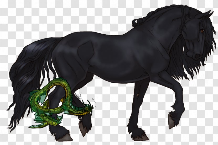 Friesian Horse Mane Mustang Stallion Pony - Cat - Holi River Ganga Transparent PNG