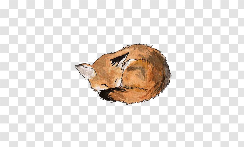 Drawing Fox Painting Art - Canvas Print Transparent PNG