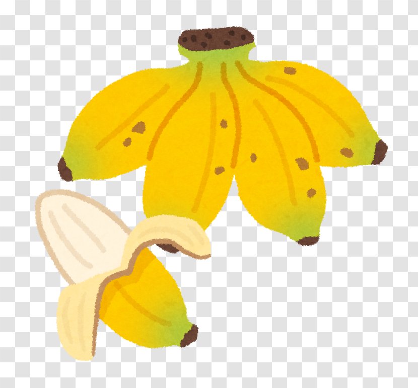 Nutrient Food Banana Nutrition Eating - Sweetness Transparent PNG