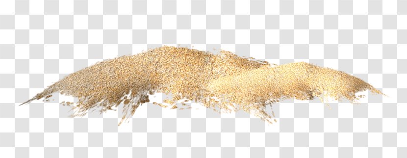 Sand Clip Art - Photography - Golden Transparent PNG