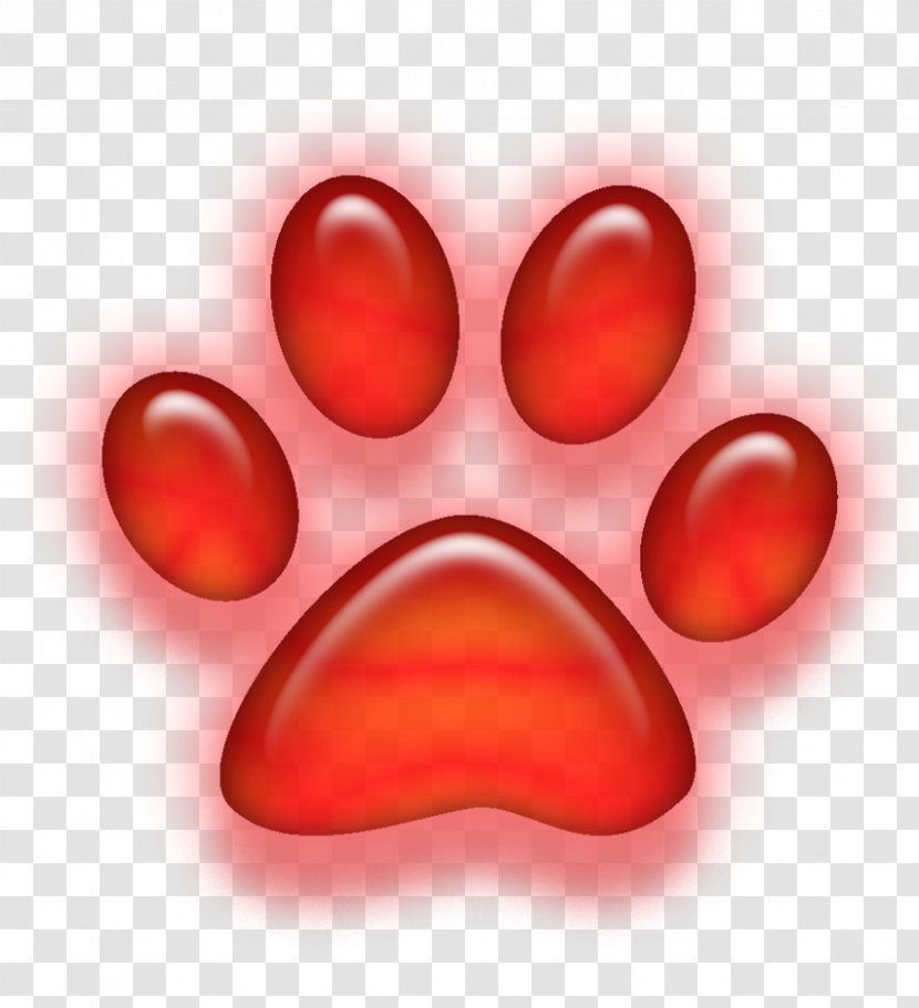 Paw Devon Rex Desktop Wallpaper Clip Art - Cat - Dog Transparent PNG