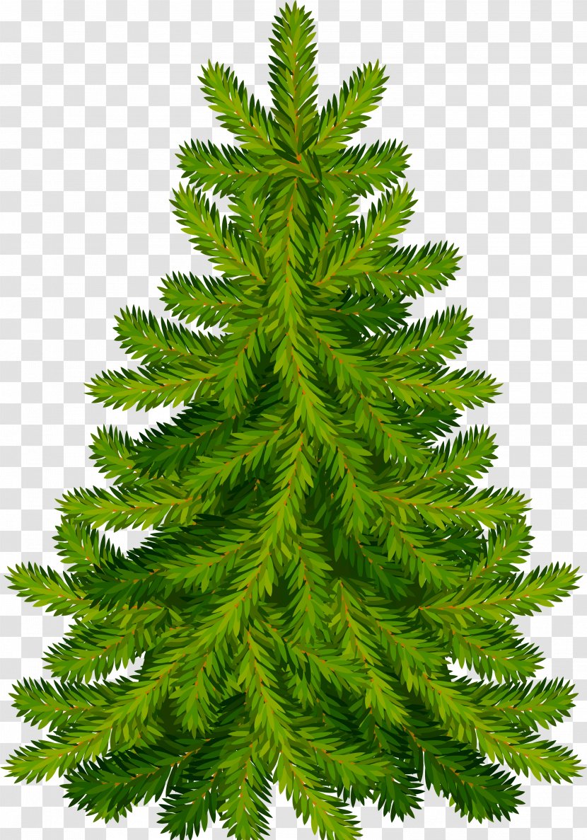 Christmas Tree Fir Day Clip Art Pine - Ornament Transparent PNG