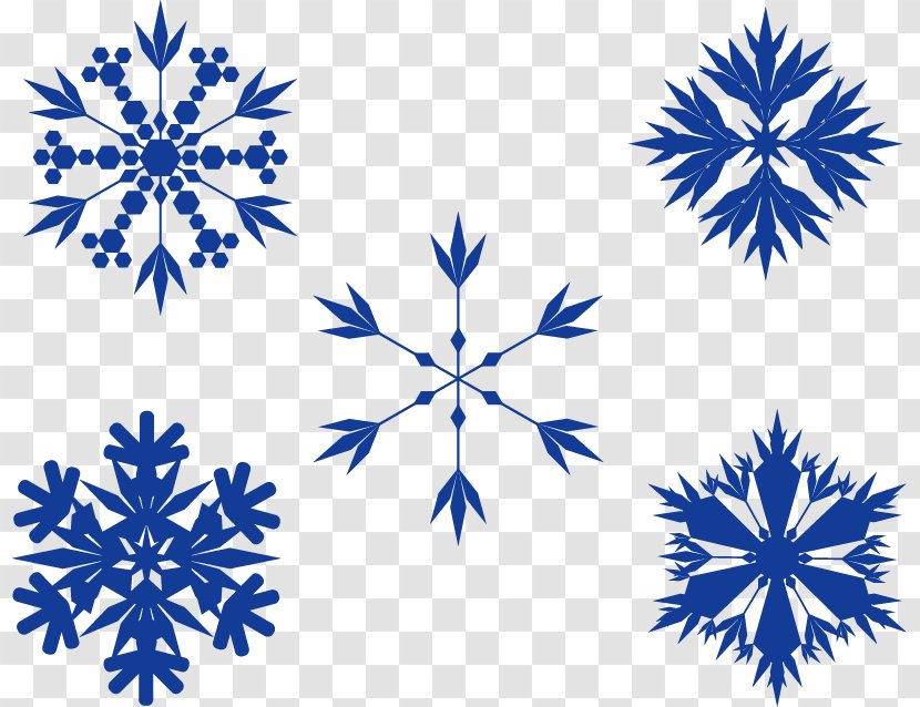 Zazzle Kolam - Skin - Vector Pure Snow Transparent PNG