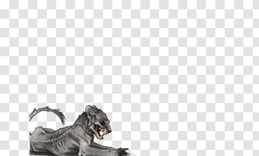 Lion Panther Apocalypse Big Cat - Carnivoran Transparent PNG