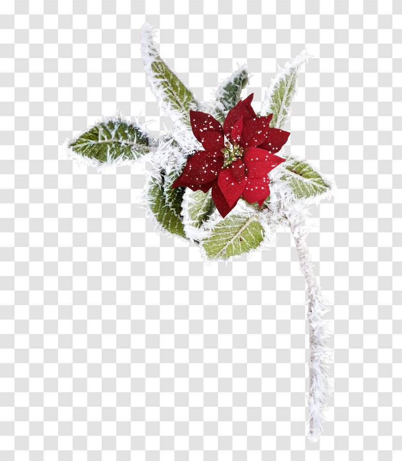 Christmas Ornament Garland Khan Bank Could It Be Different? - Plant - Reflexion Transparent PNG