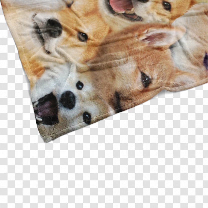 Dog Breed Shiba Inu Puppy Sporting Group Snout Transparent PNG