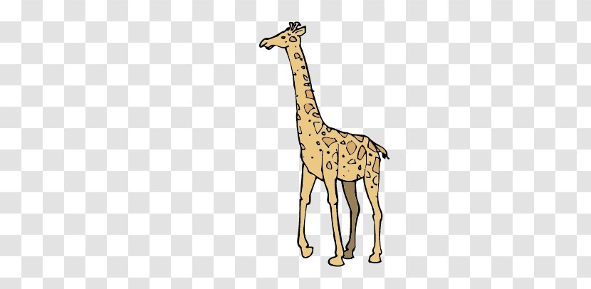 Giraffe Fauna Wildlife Pattern - Animal Transparent PNG