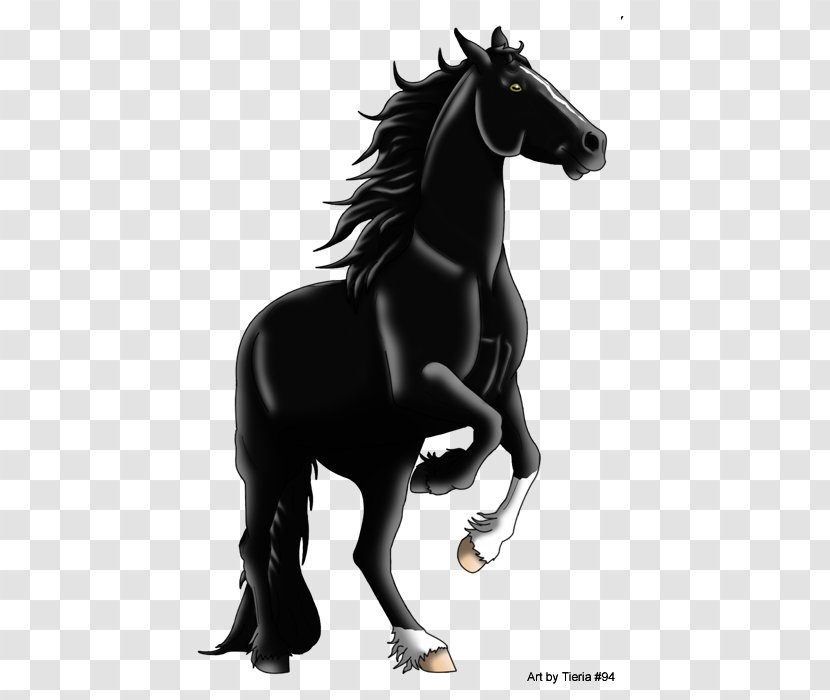 Mane Mustang Stallion Pony Colt - Horse Transparent PNG