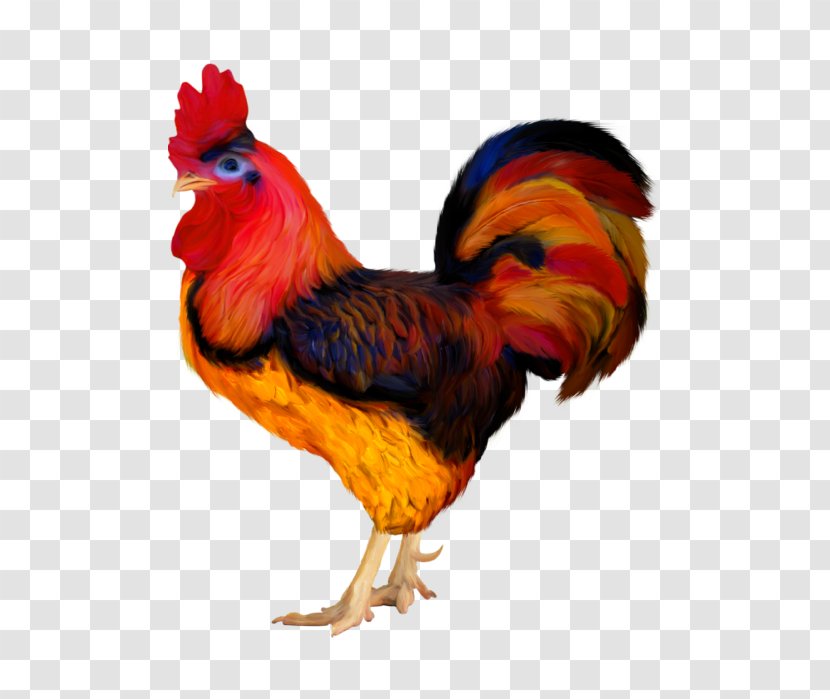 Rooster Chicken Clip Art Adobe Photoshop Bird Transparent PNG