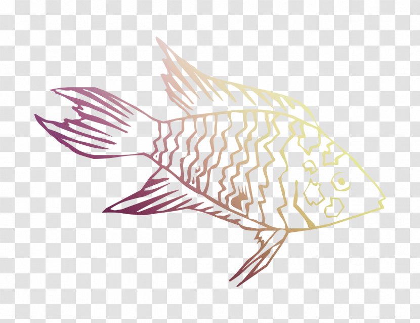 Illustration Clip Art Drawing /m/02csf Fauna - M02csf - Fish Transparent PNG