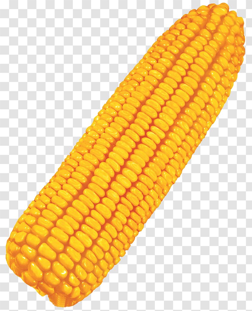 Maize Corn On The Cob Crop Food Cereal - Baking - A Corn-free Buckle Material Transparent PNG