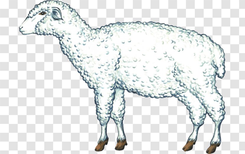 Sheep Goat Cattle Clip Art - Cow Family Transparent PNG