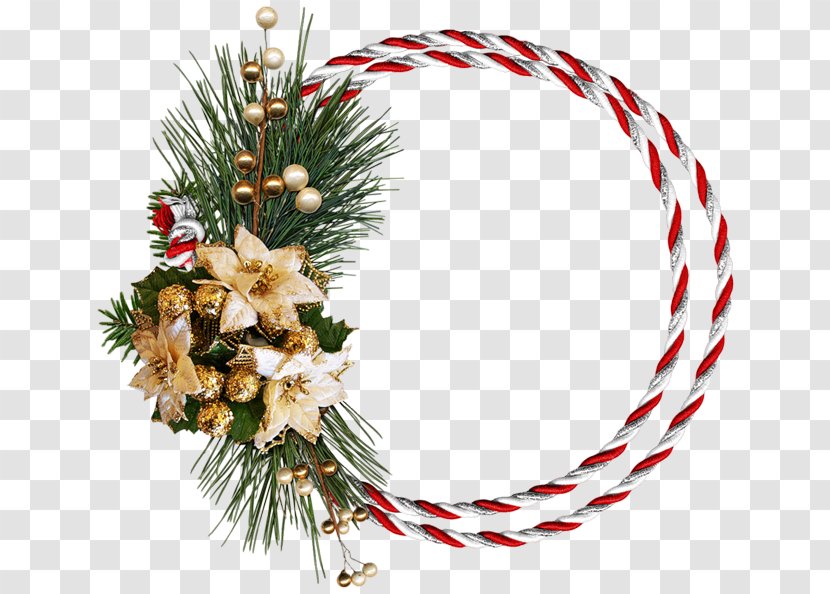 Christmas Ornament New Year - Pine Family Transparent PNG