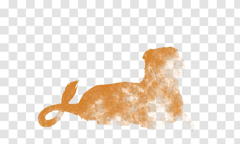 Dog Canidae Snout Carnivora Animal - Carnivoran - Golden Ears Of Wheat Transparent PNG