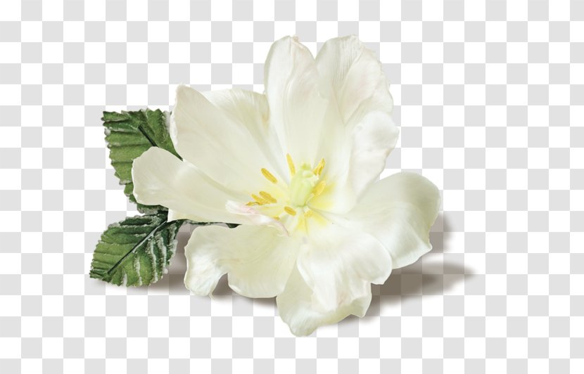 Synthetic Musk Flower Stick Jasmine Transparent PNG