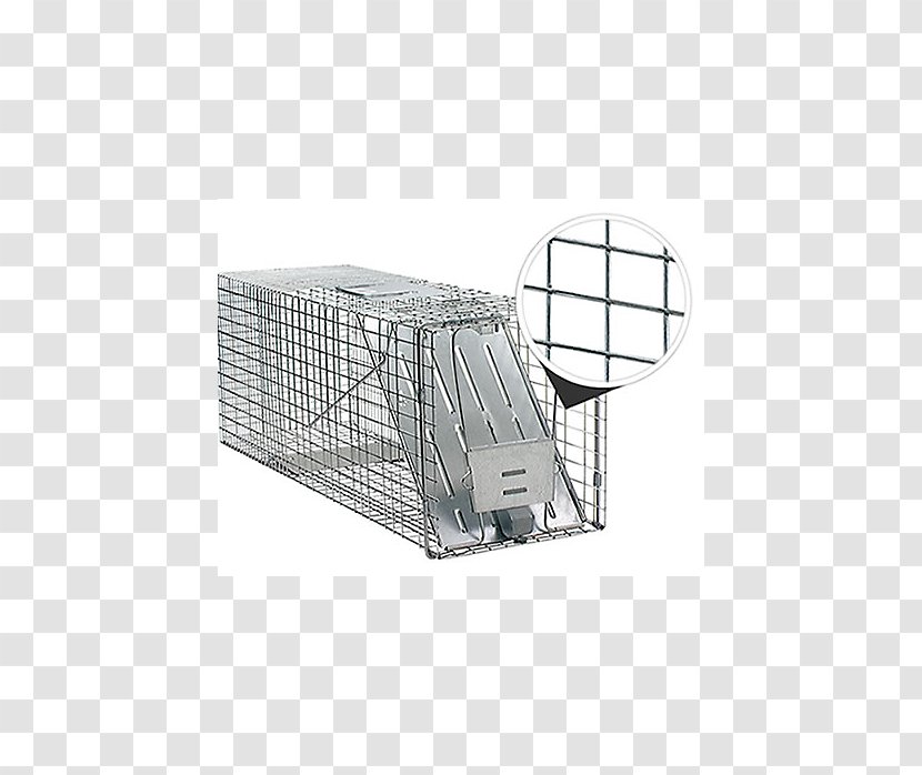 Raccoon Trapping Nuisance Wildlife Management Pest Control Cage - Fur - Mouse Trap Transparent PNG