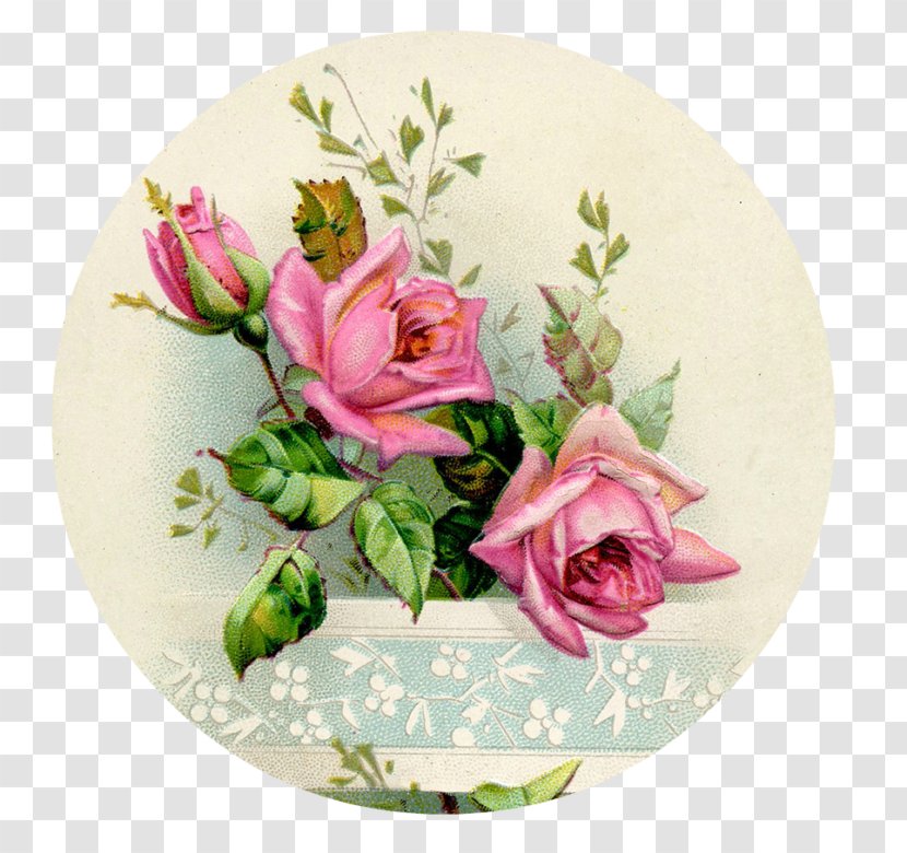 Rose Greeting & Note Cards Flower Post Gift - Garden Roses - Dishware Transparent PNG